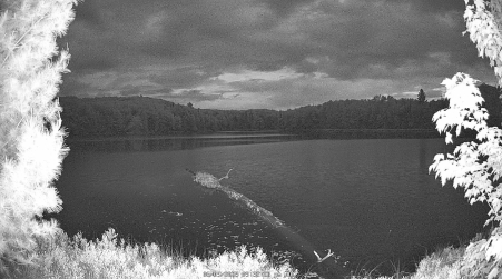 Image from 2025-06-09