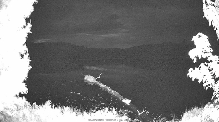 Image from 2025-06-09