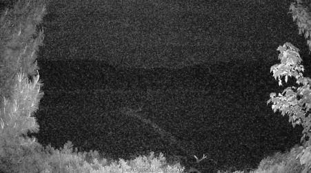 Image from 2025-06-09