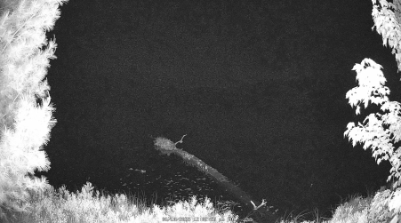 Image from 2025-06-10
