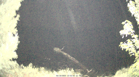 Image from 2025-06-10