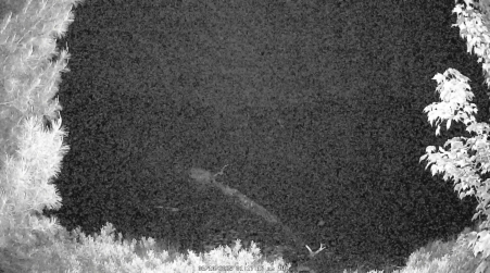 Image from 2025-06-10