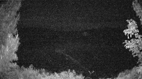 Image from 2025-06-10