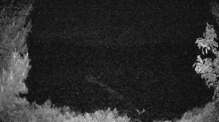 Image from 2025-06-10