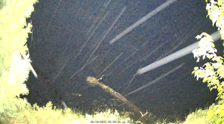 Image from 2025-06-10