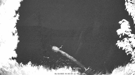 Image from 2025-06-10