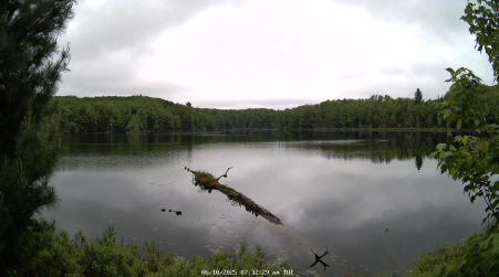 Image from 2025-06-10