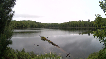 Image from 2025-06-10