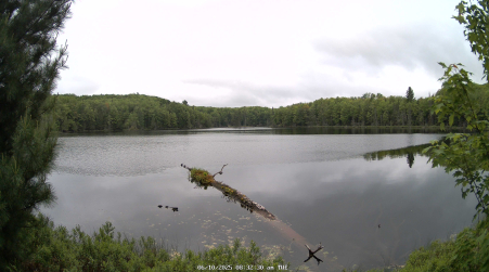 Image from 2025-06-10