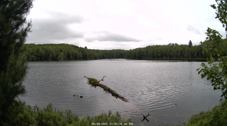 Image from 2025-06-10