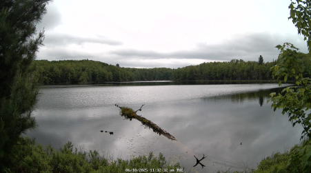 Image from 2025-06-10