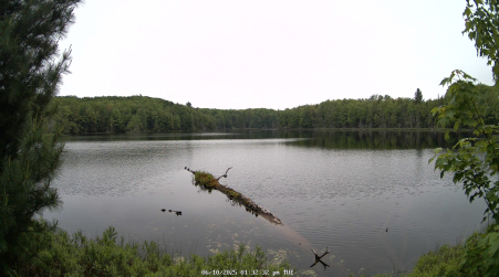 Image from 2025-06-10