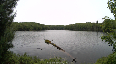 Image from 2025-06-10