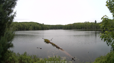 Image from 2025-06-10