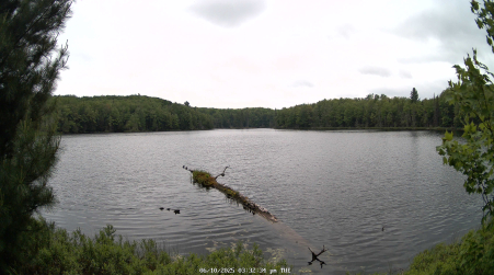 Image from 2025-06-10