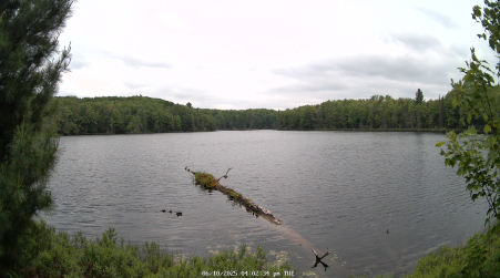 Image from 2025-06-10