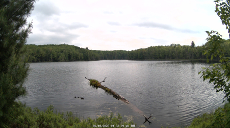 Image from 2025-06-10