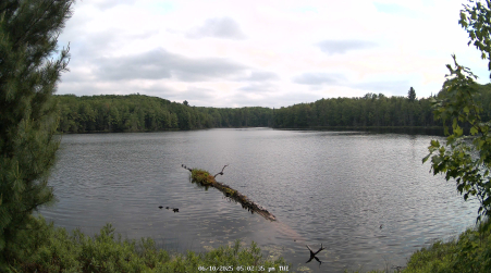 Image from 2025-06-10