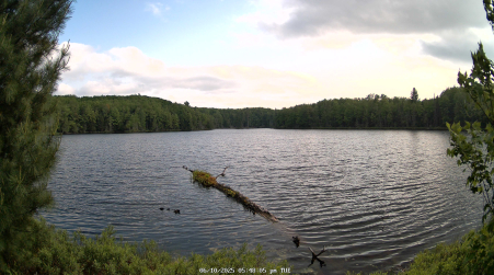 Image from 2025-06-10
