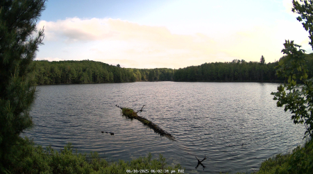 Image from 2025-06-10