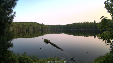 Image from 2025-06-10