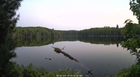 Image from 2025-06-10