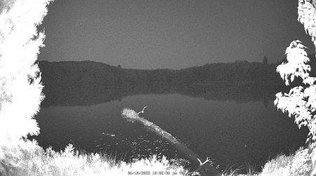 Image from 2025-06-10
