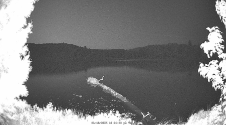 Image from 2025-06-10