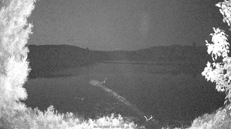 Image from 2025-06-10
