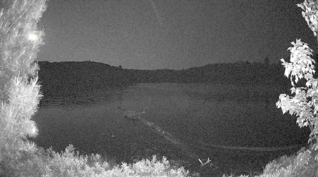 Image from 2025-06-10