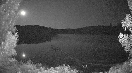 Image from 2025-06-11