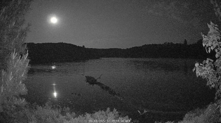 Image from 2025-06-11