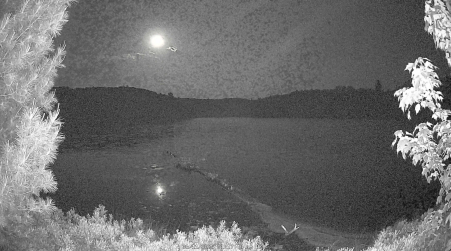 Image from 2025-06-11