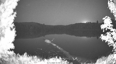Image from 2025-06-11