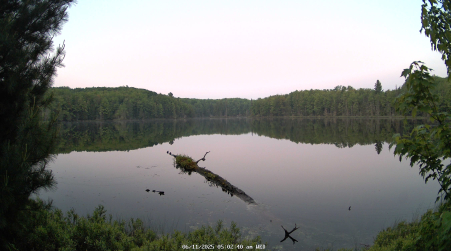 Image from 2025-06-11