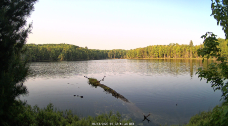 Image from 2025-06-11