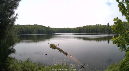Image from 2025-06-11