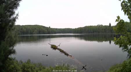 Image from 2025-06-11