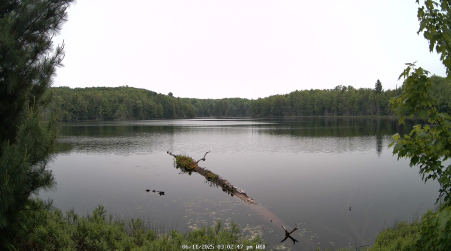 Image from 2025-06-11