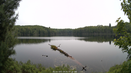 Image from 2025-06-11