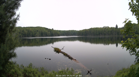 Image from 2025-06-11