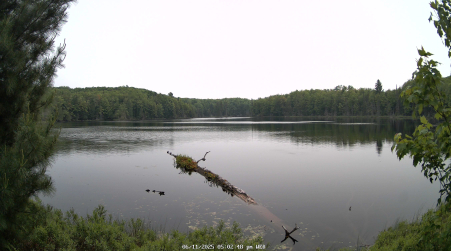 Image from 2025-06-11