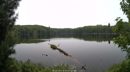 Image from 2025-06-11