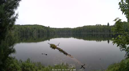 Image from 2025-06-11