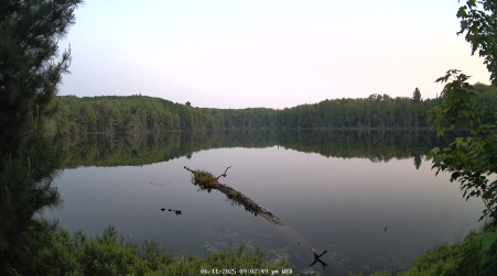 Image from 2025-06-11