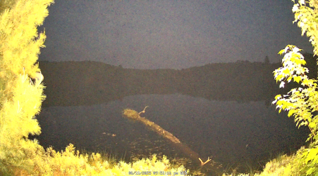 Image from 2025-06-11