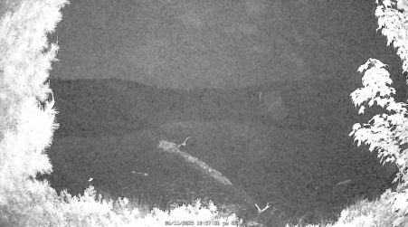Image from 2025-06-11