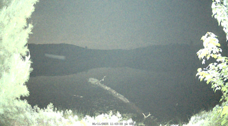 Image from 2025-06-11
