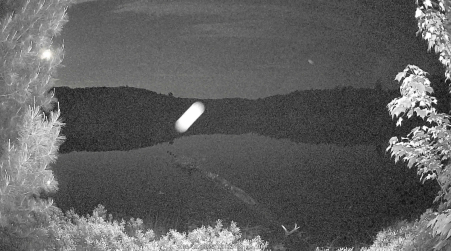 Image from 2025-06-12