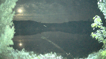 Image from 2025-06-12